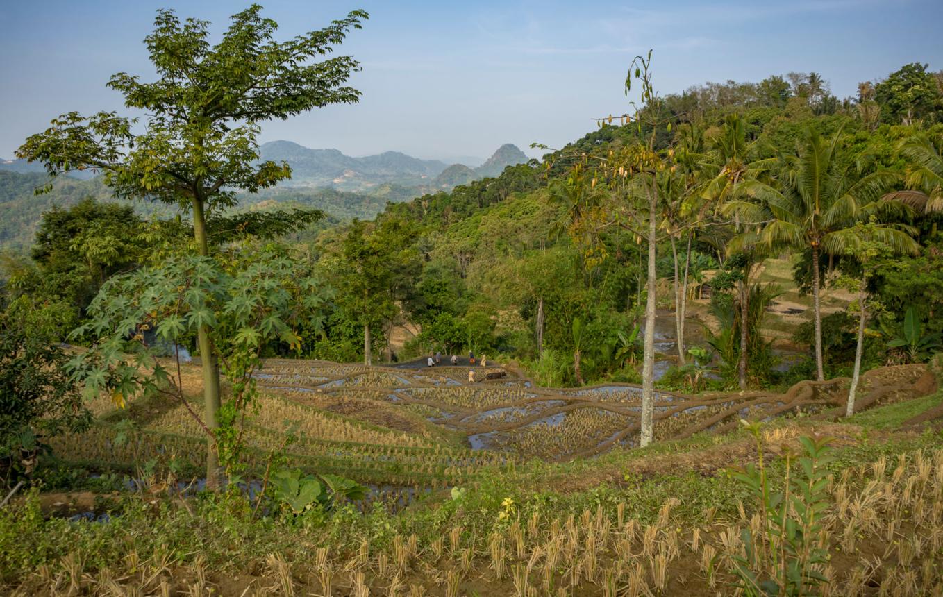 Yogyakarta Package